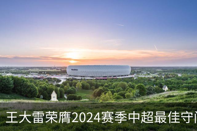 王大雷荣膺2024赛季中超最佳守门员
